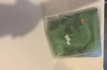 SKYLRK Reverse Sweats Mint Dye Space
